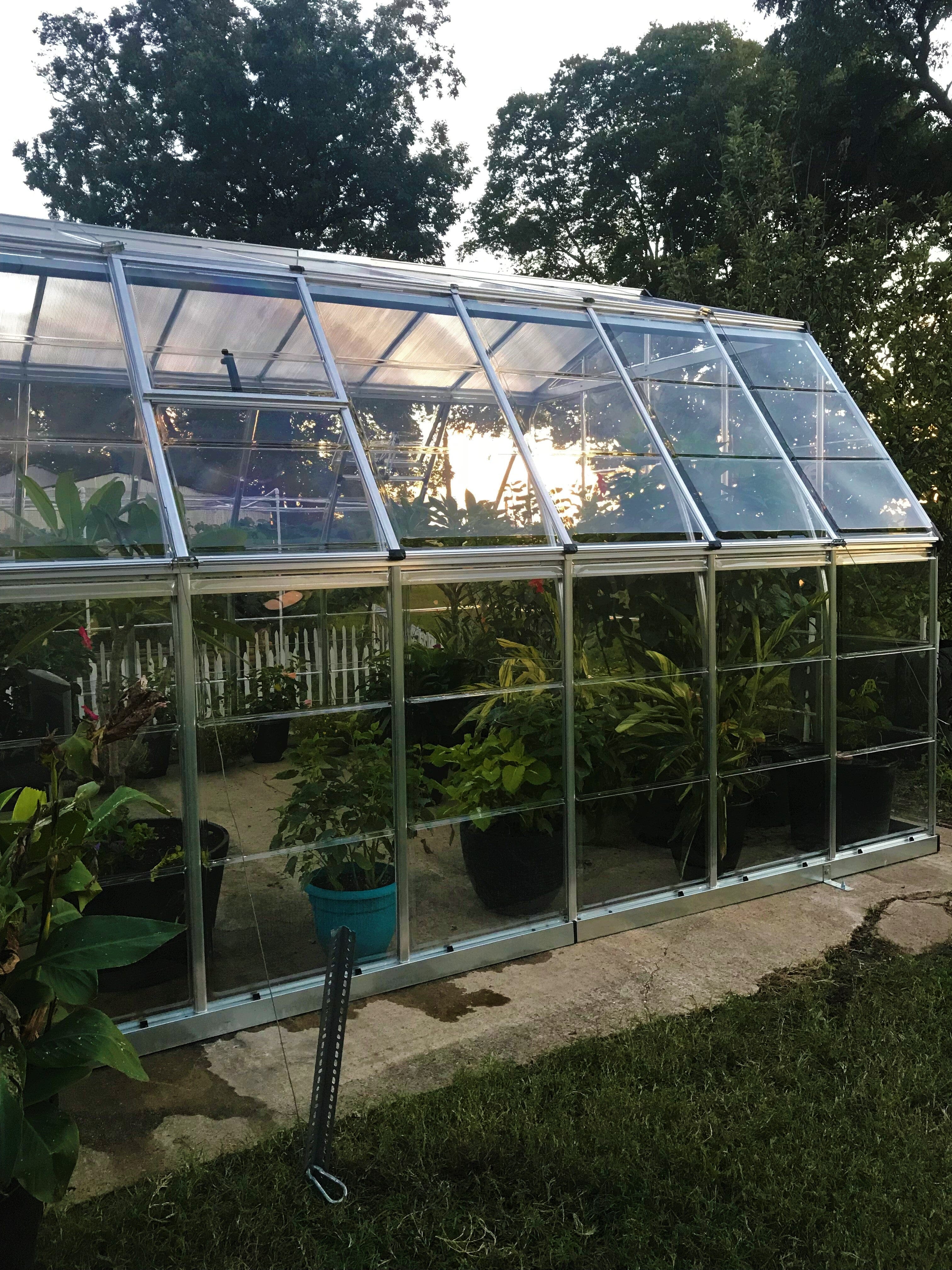 Palram - Canopia | Americana 12' x 12' Greenhouse - Image 14